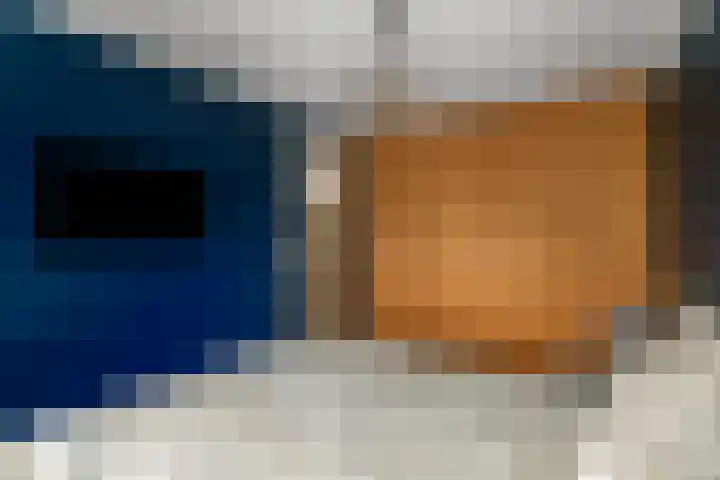 Haarakker 25 Rhenoy thumbnail 15