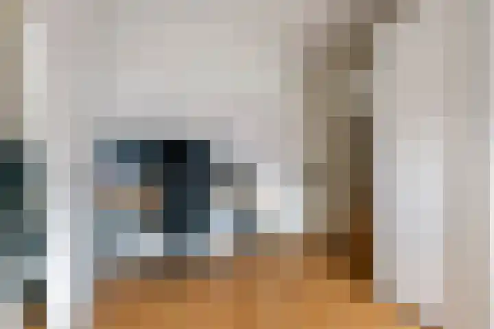Haarakker 25 Rhenoy thumbnail 18