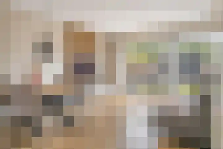 Haarakker 25 Rhenoy foto 3
