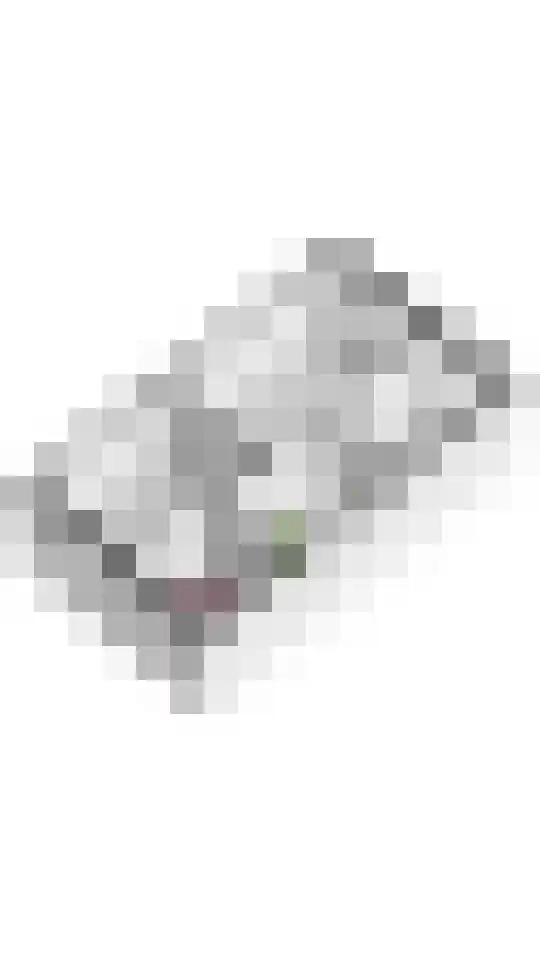 Haarakker 25 Rhenoy thumbnail 31