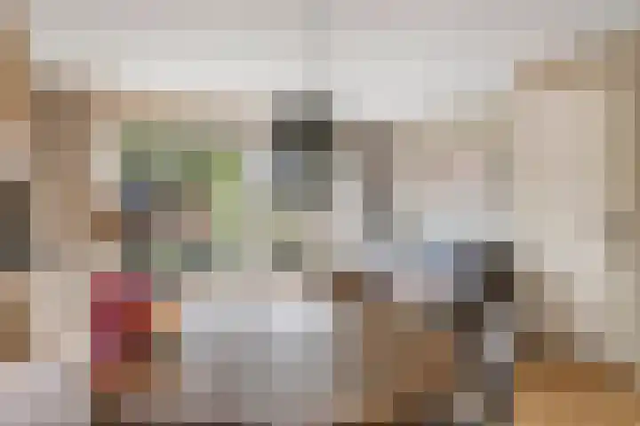 Haarakker 25 Rhenoy thumbnail 4