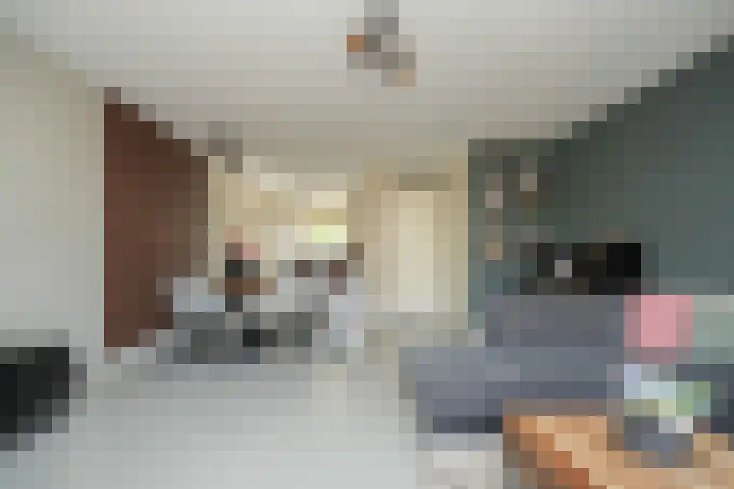 Haarakker 7 Rhenoy thumbnail 10