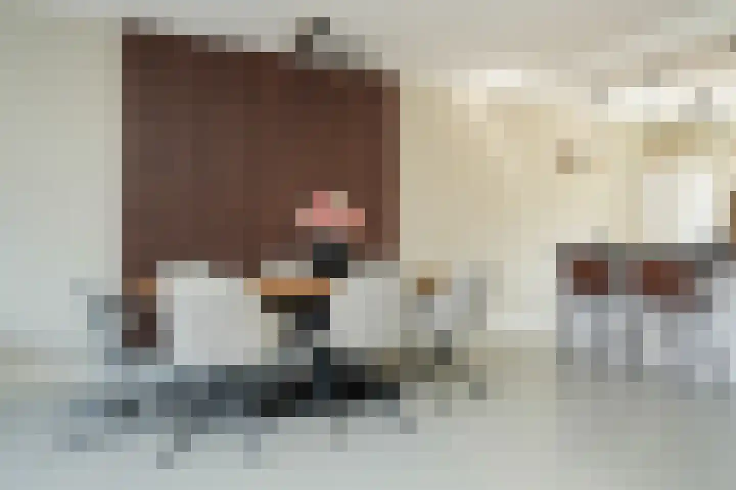Haarakker 7 Rhenoy thumbnail 11