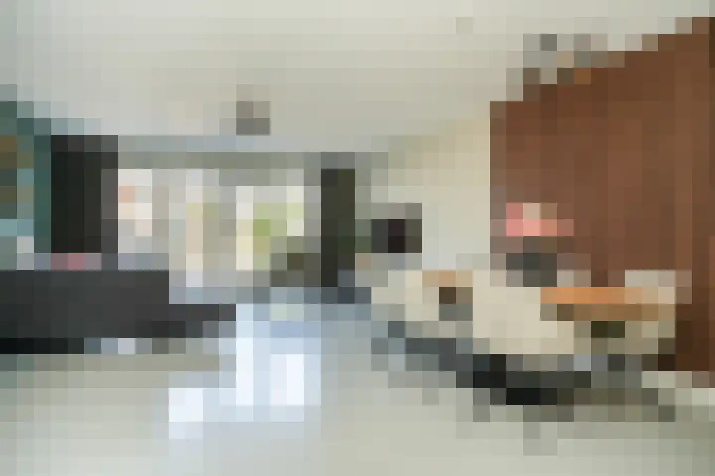 Haarakker 7 Rhenoy foto 2