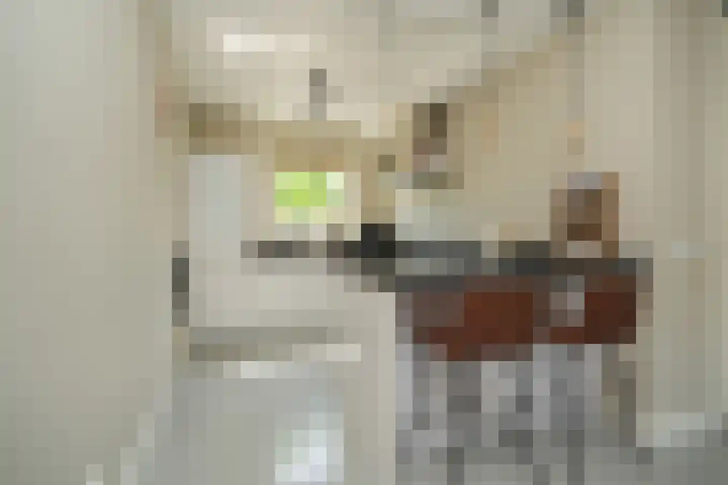 Haarakker 7 Rhenoy foto 3