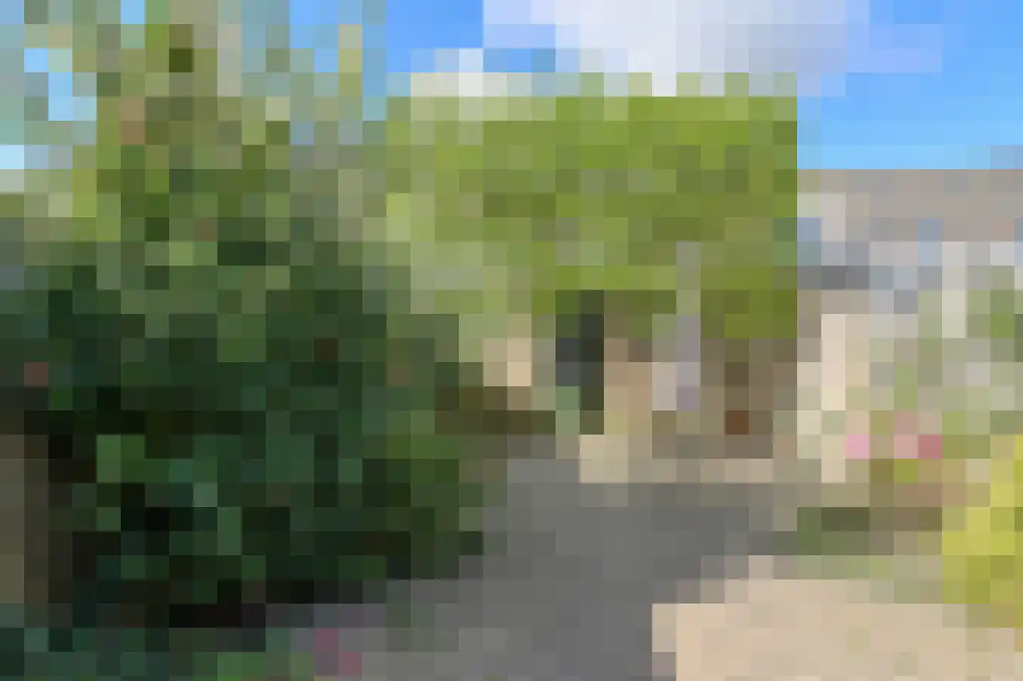 Haarbeemd 22 Bavel thumbnail 31
