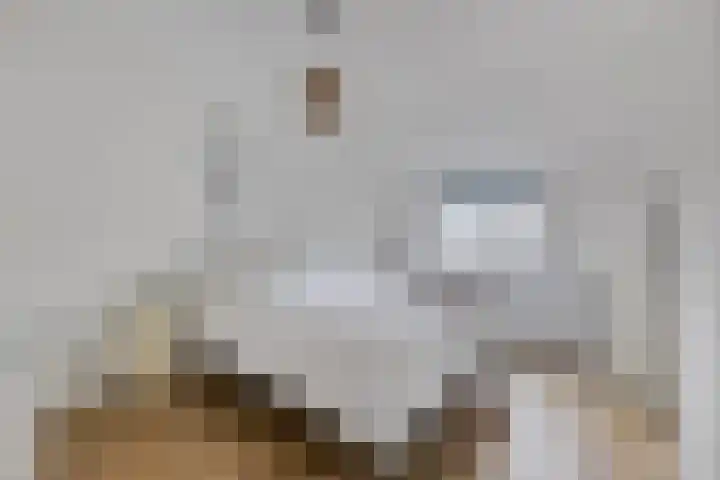 Haarbeemd 28 Bavel thumbnail 14