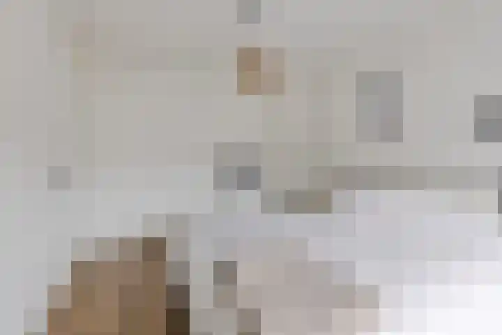 Haarbeemd 28 Bavel thumbnail 15