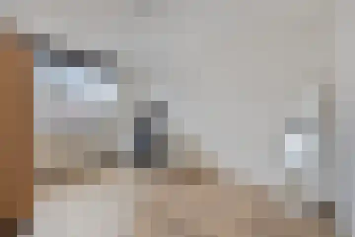 Haarbeemd 28 Bavel thumbnail 16