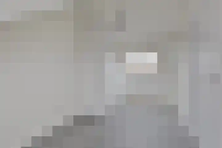 Haarbeemd 28 Bavel thumbnail 23