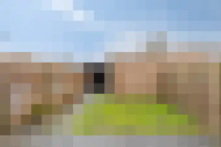 Haarbeemd 28 Bavel thumbnail 24
