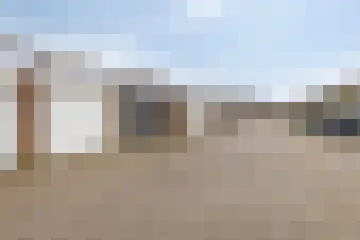 Haarbeemd 28 Bavel thumbnail 28