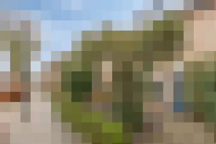 Haarbeemd 28 Bavel thumbnail 4