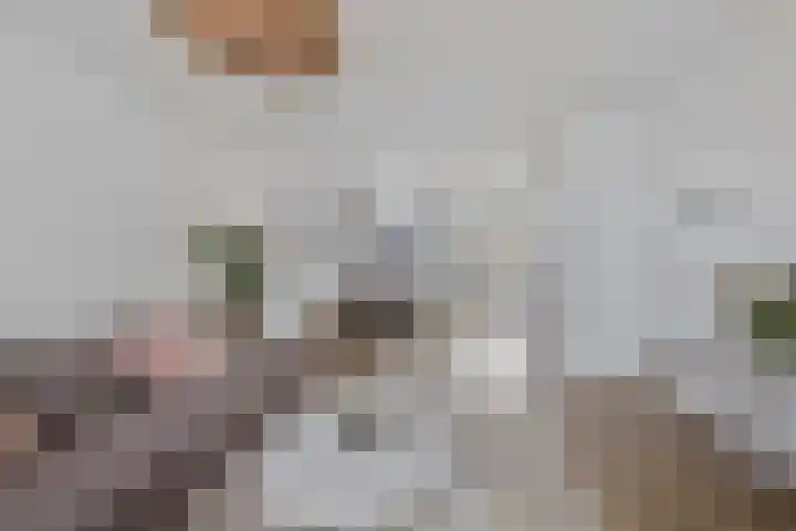 Haarbeemd 28 Bavel thumbnail 7