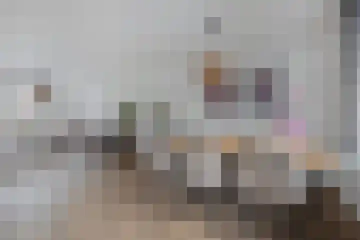 Haarbeemd 28 Bavel thumbnail 8