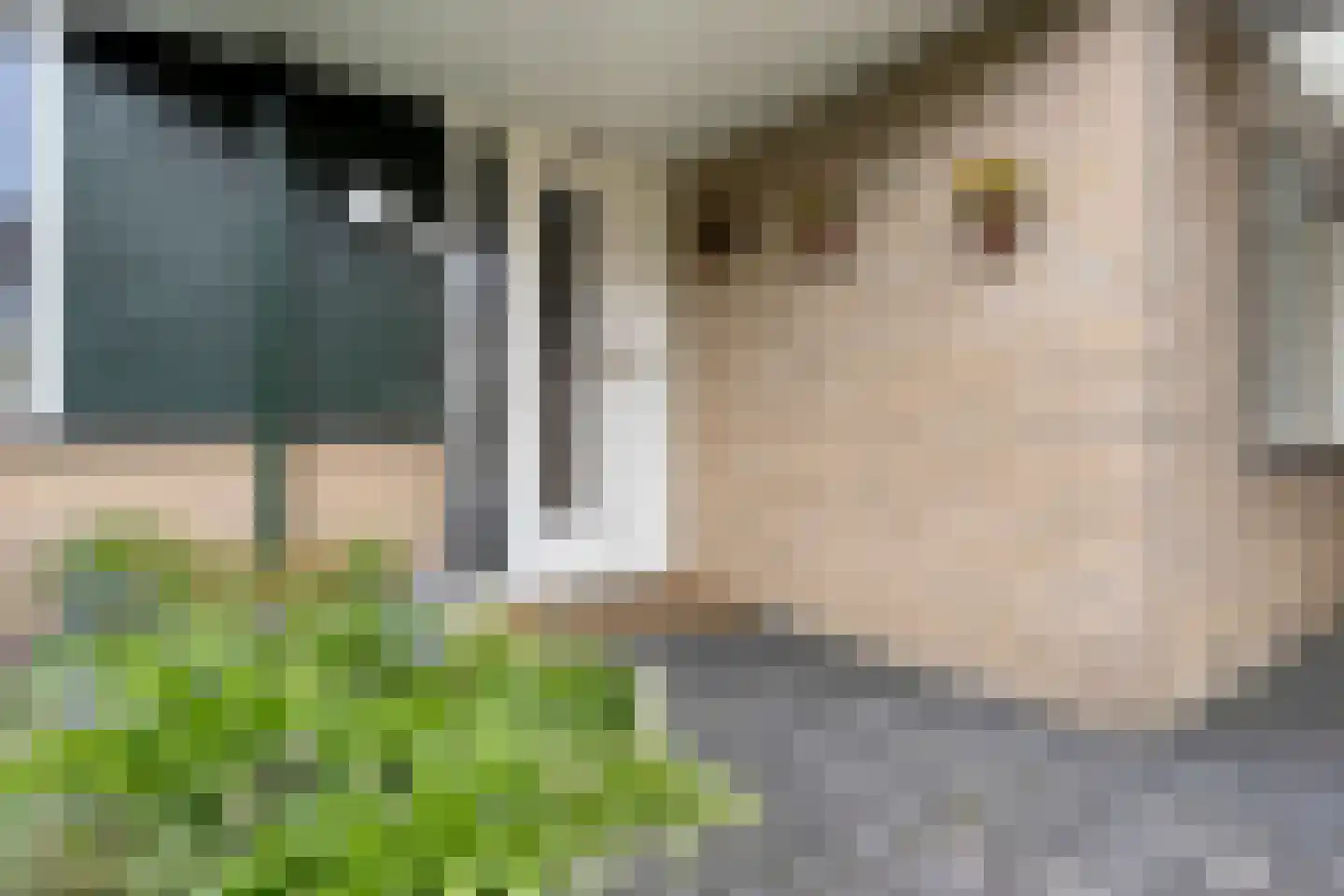Haarboerhorst 10 Enschede thumbnail 11