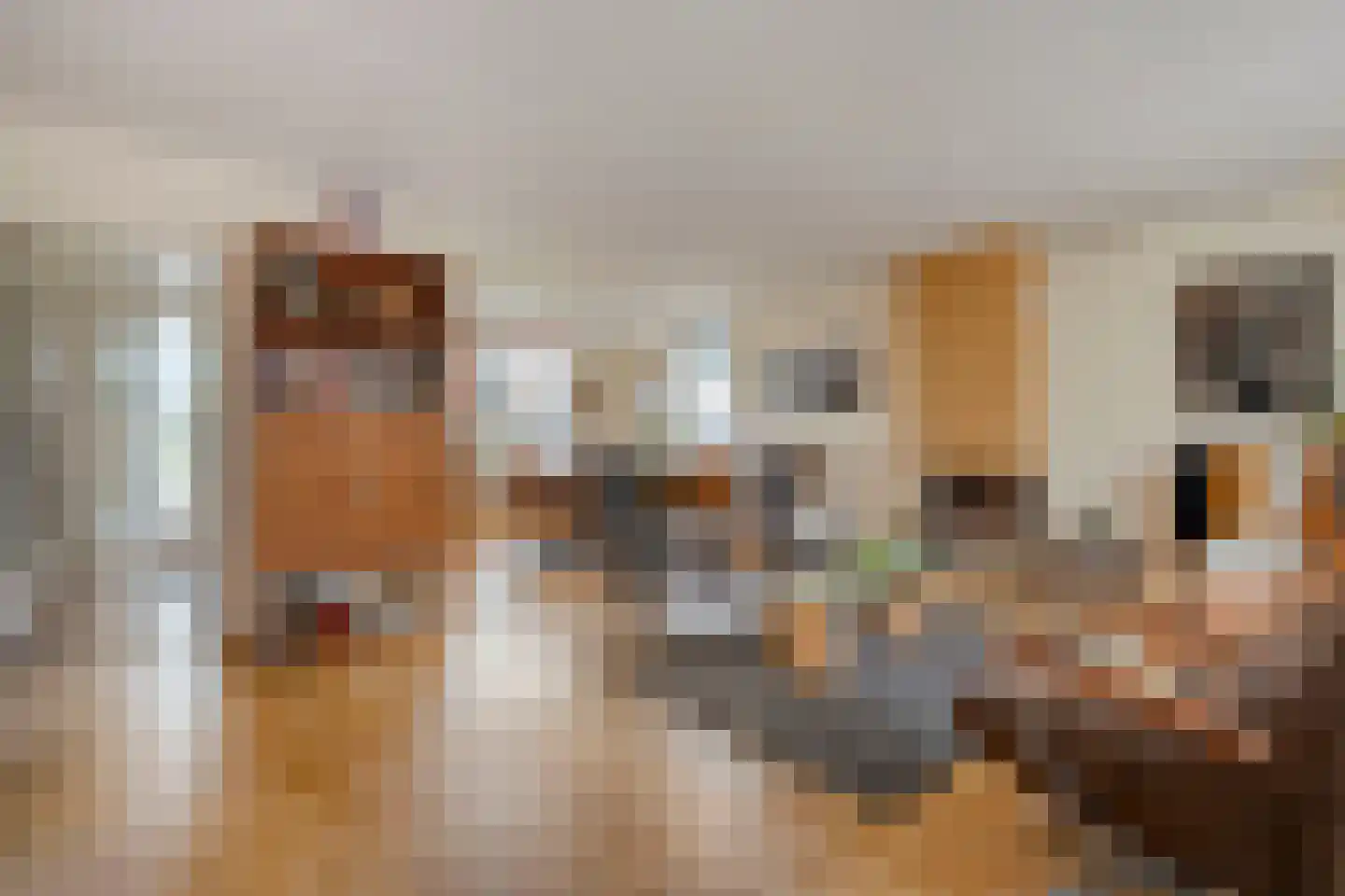Haarboerhorst 10 Enschede thumbnail 18