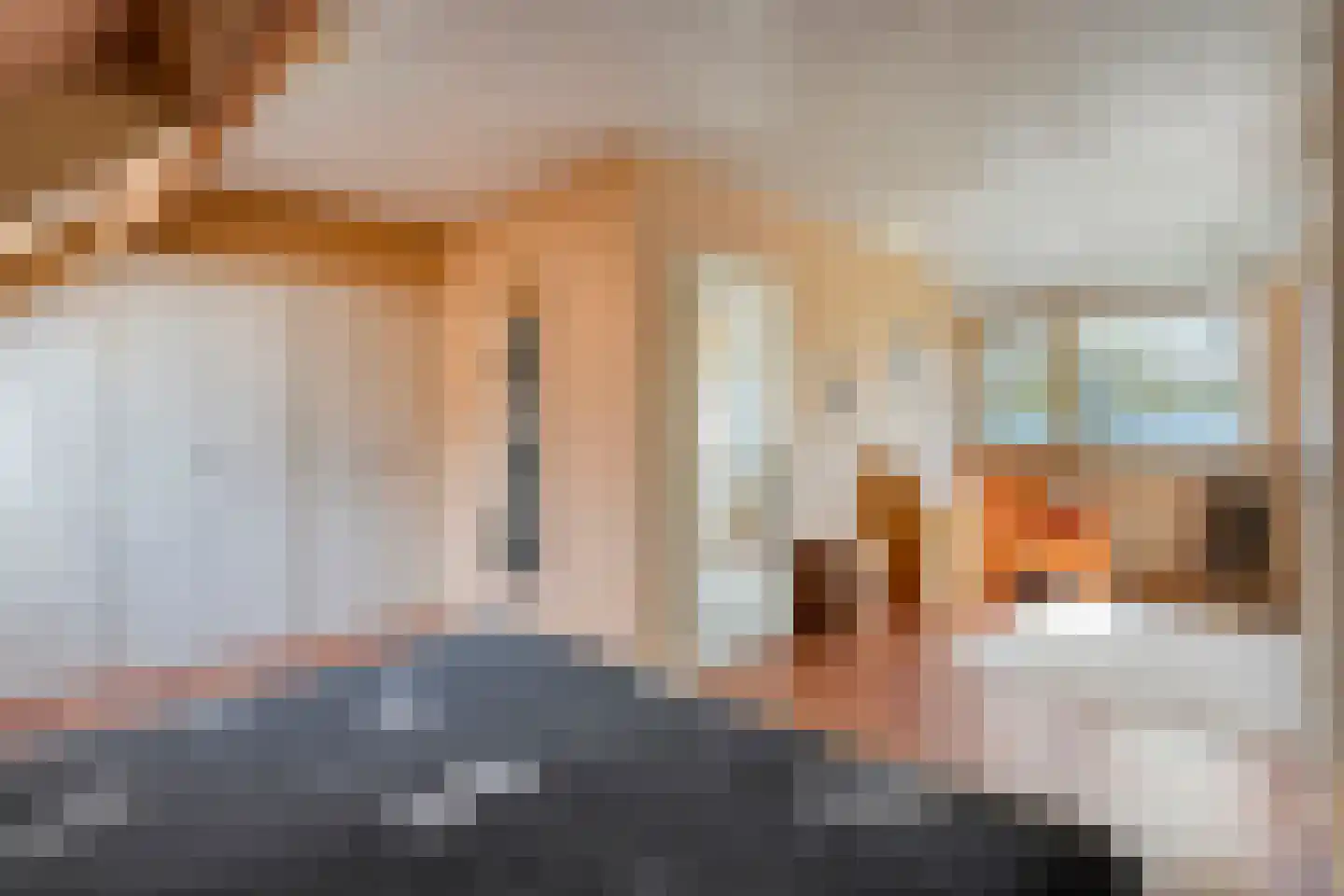 Haarboerhorst 10 Enschede thumbnail 30