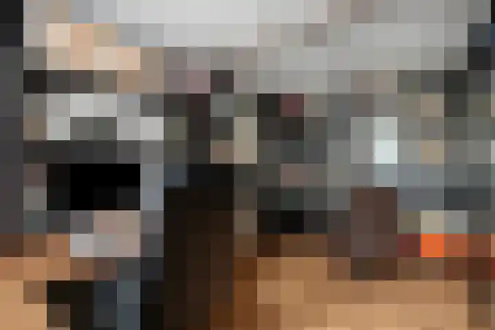 Haarboerhorst 10 Enschede thumbnail 31