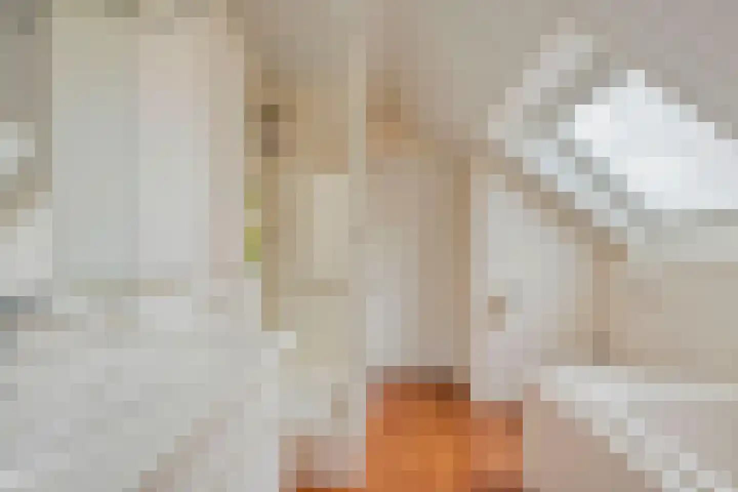 Haarboerhorst 10 Enschede thumbnail 35