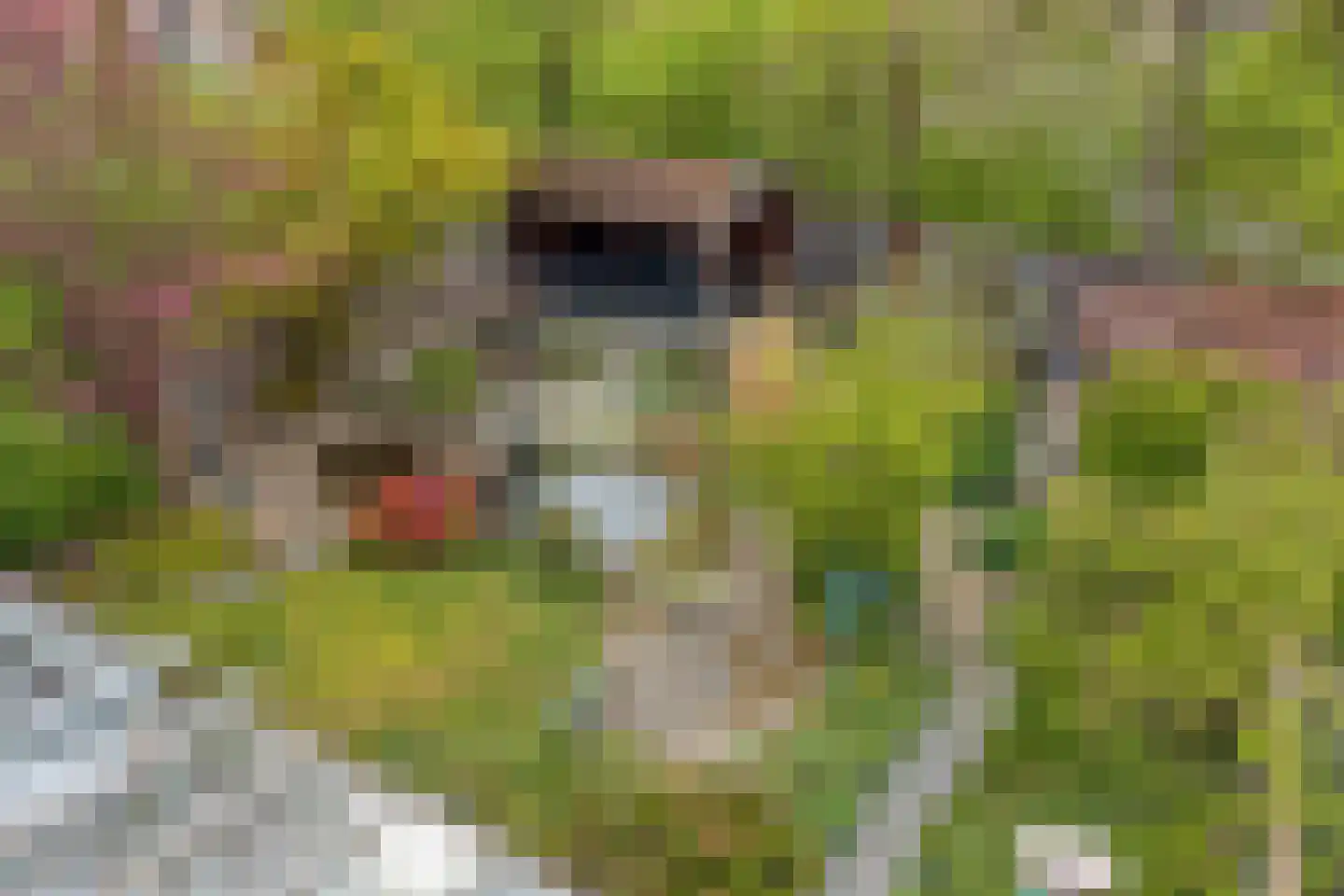 Haarboerhorst 10 Enschede thumbnail 4