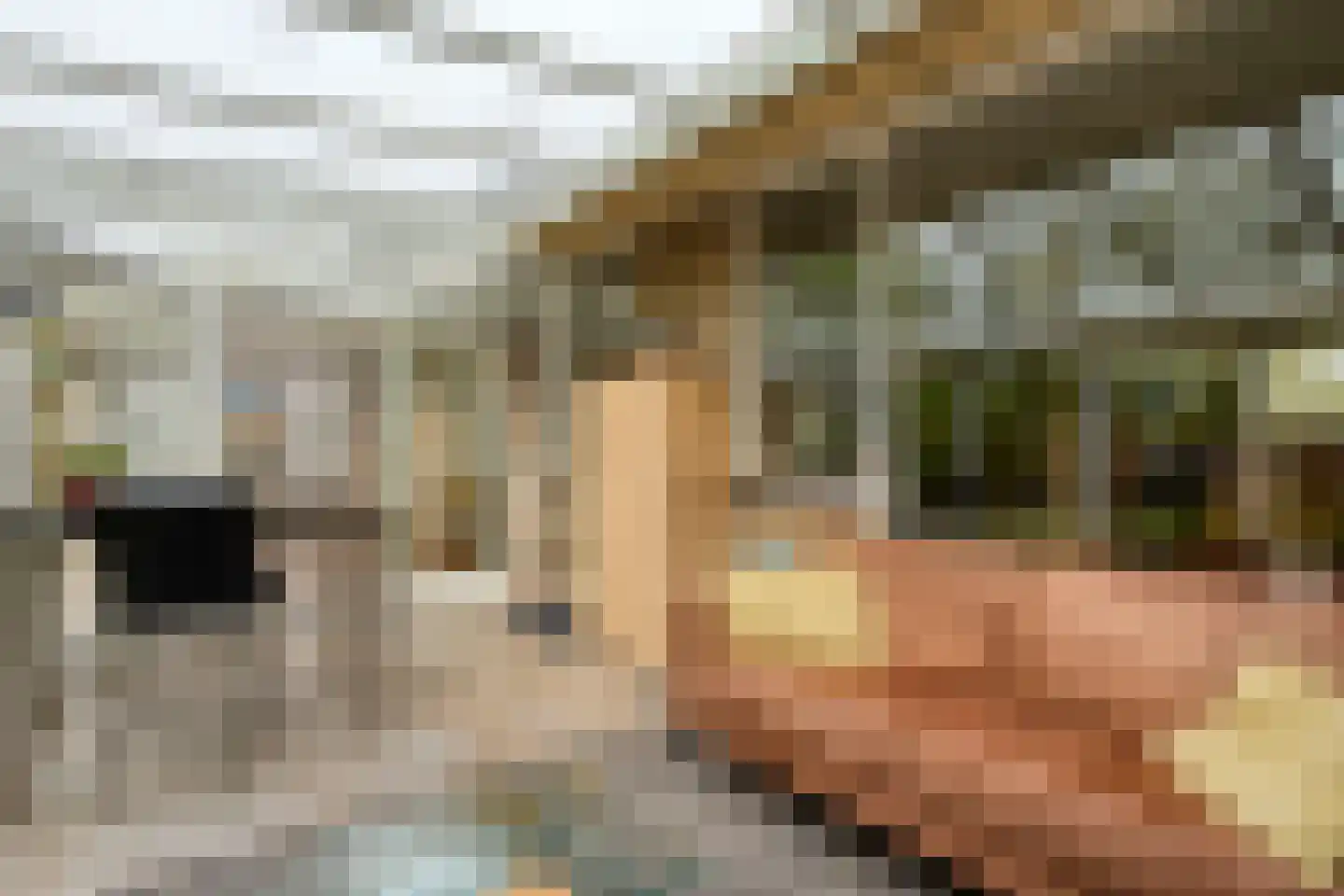 Haarboerhorst 10 Enschede thumbnail 40