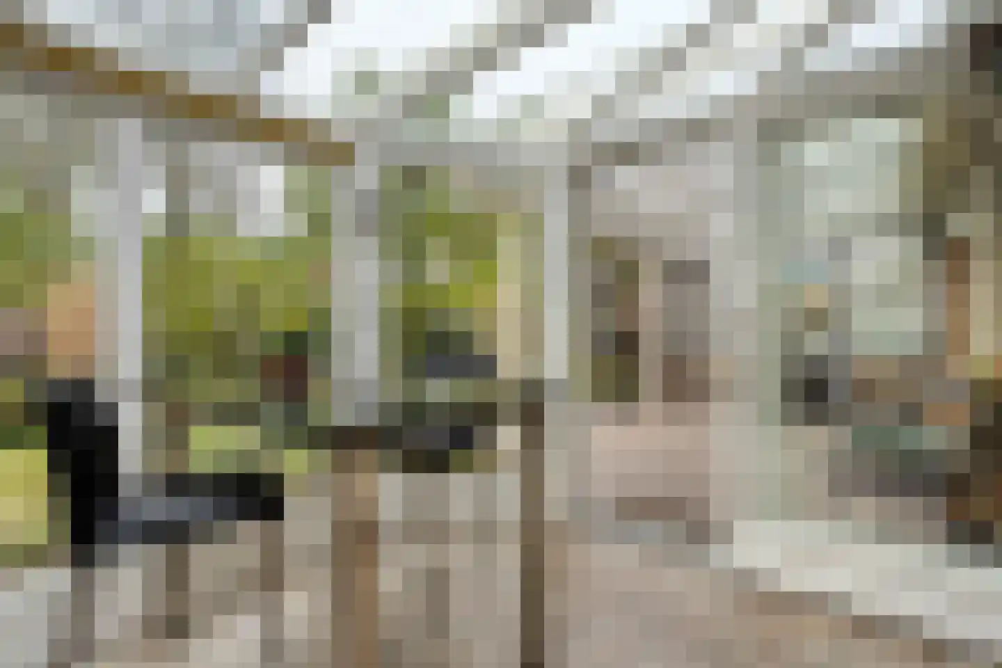 Haarboerhorst 10 Enschede thumbnail 41