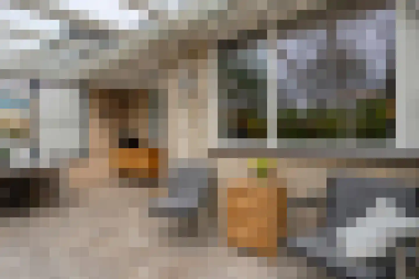 Haarboerhorst 10 Enschede thumbnail 42