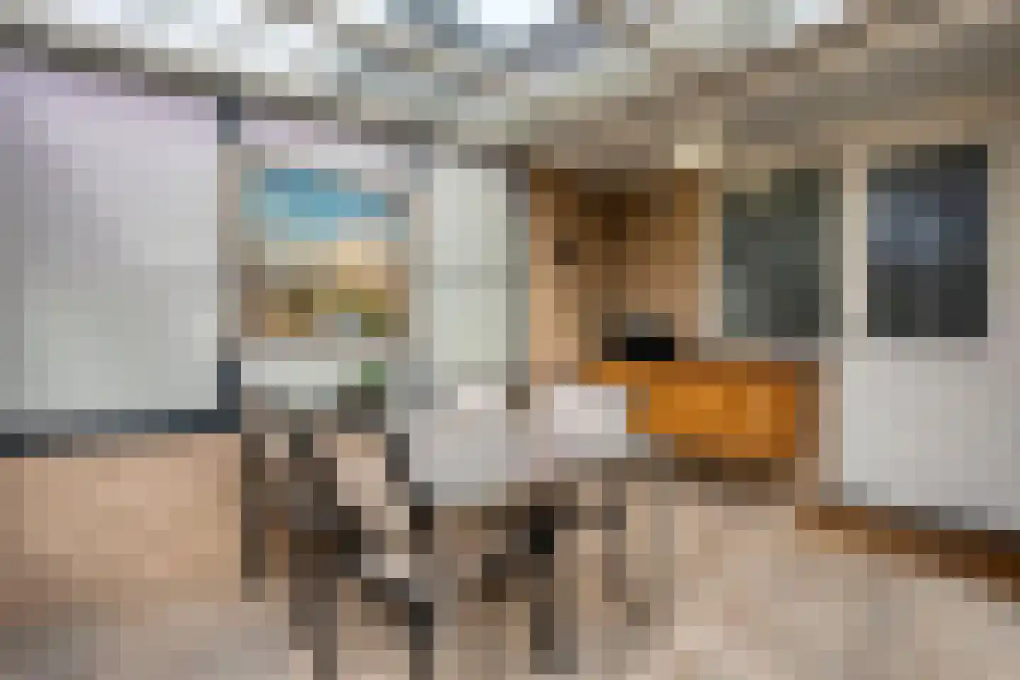 Haarboerhorst 10 Enschede thumbnail 43