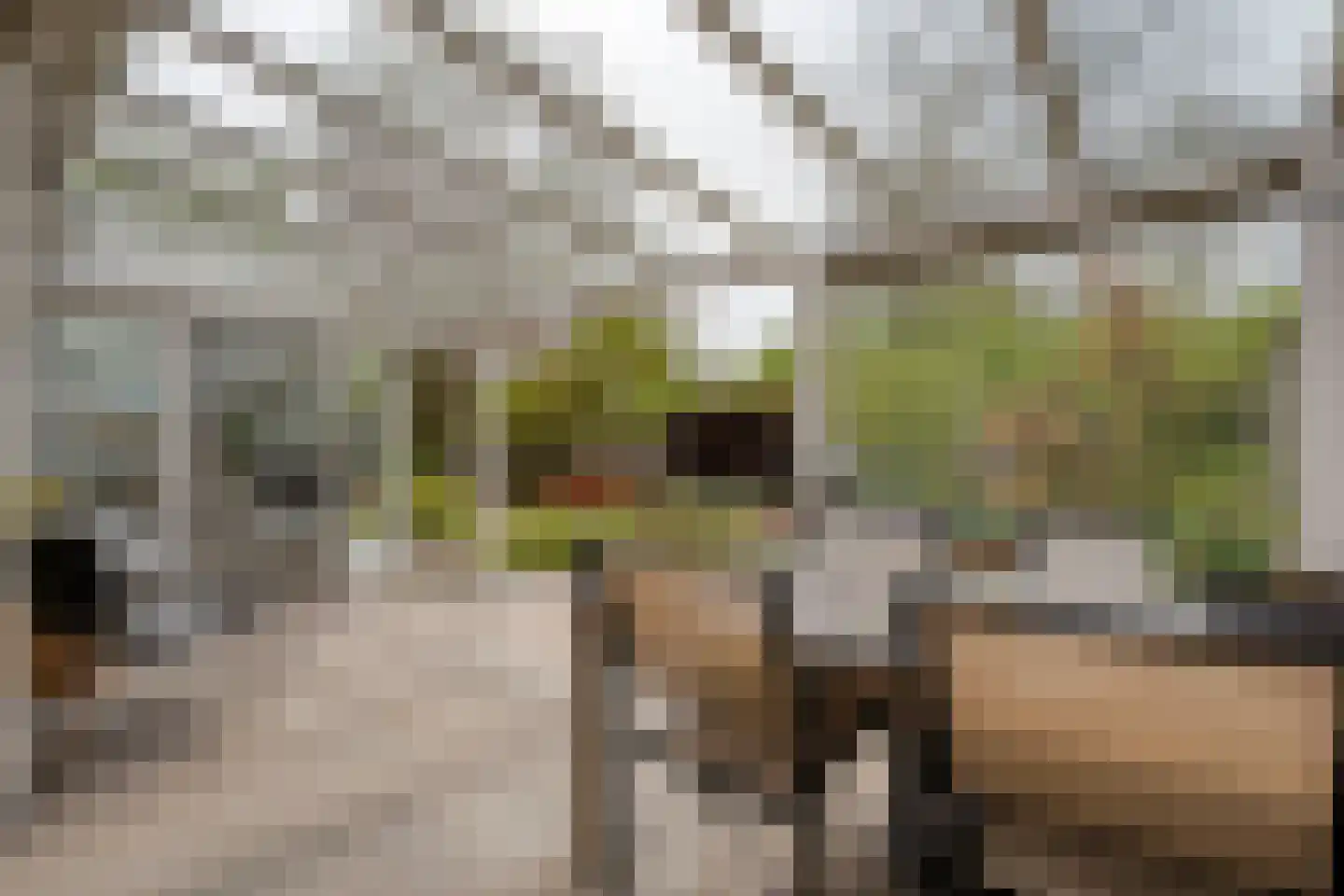 Haarboerhorst 10 Enschede thumbnail 44