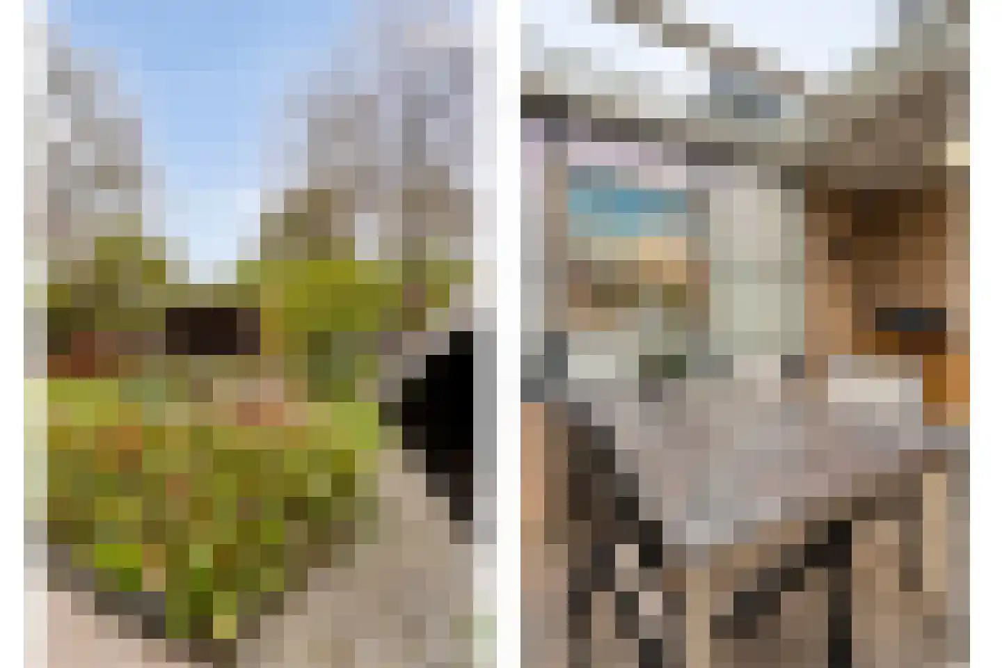 Haarboerhorst 10 Enschede thumbnail 45