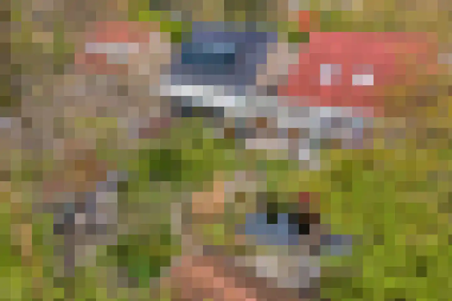 Haarboerhorst 10 Enschede thumbnail 46