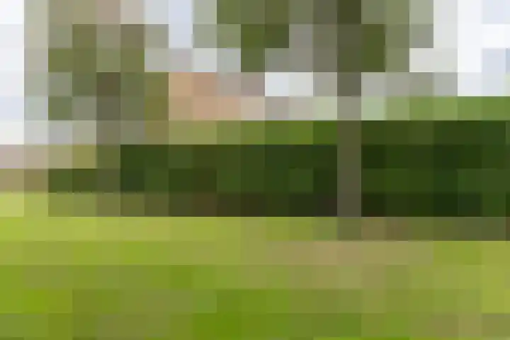 Haarboerhorst 10 Enschede thumbnail 46