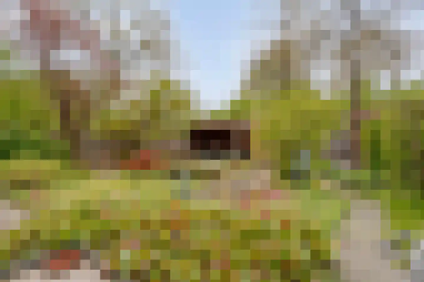Haarboerhorst 10 Enschede thumbnail 48