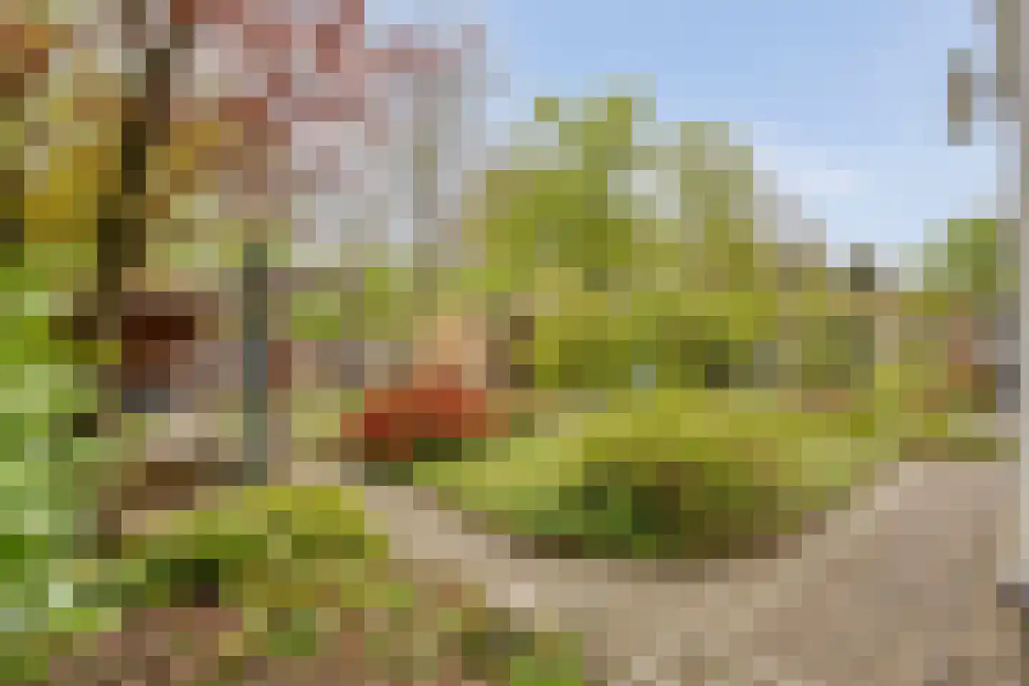 Haarboerhorst 10 Enschede thumbnail 49