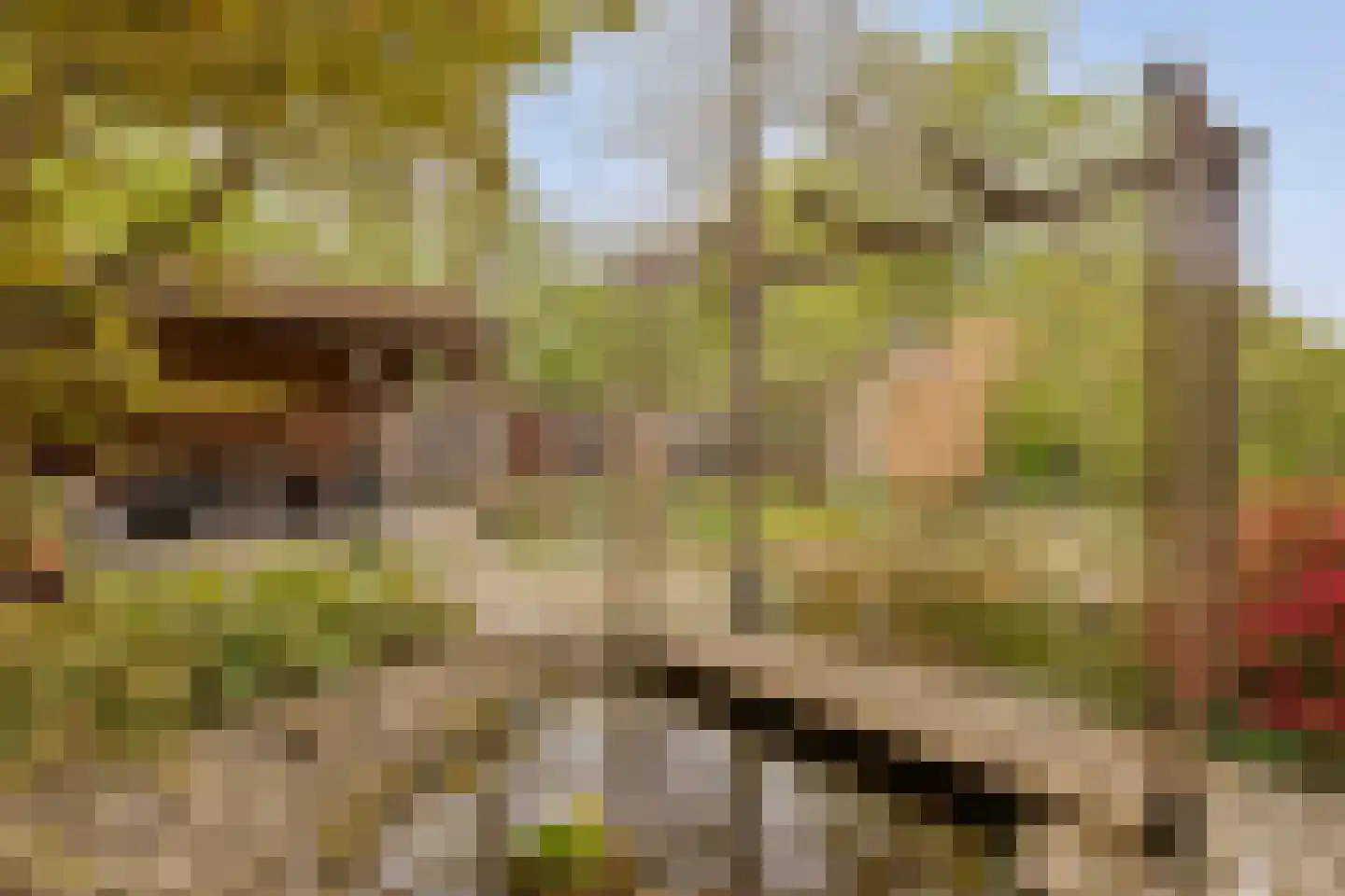 Haarboerhorst 10 Enschede thumbnail 51