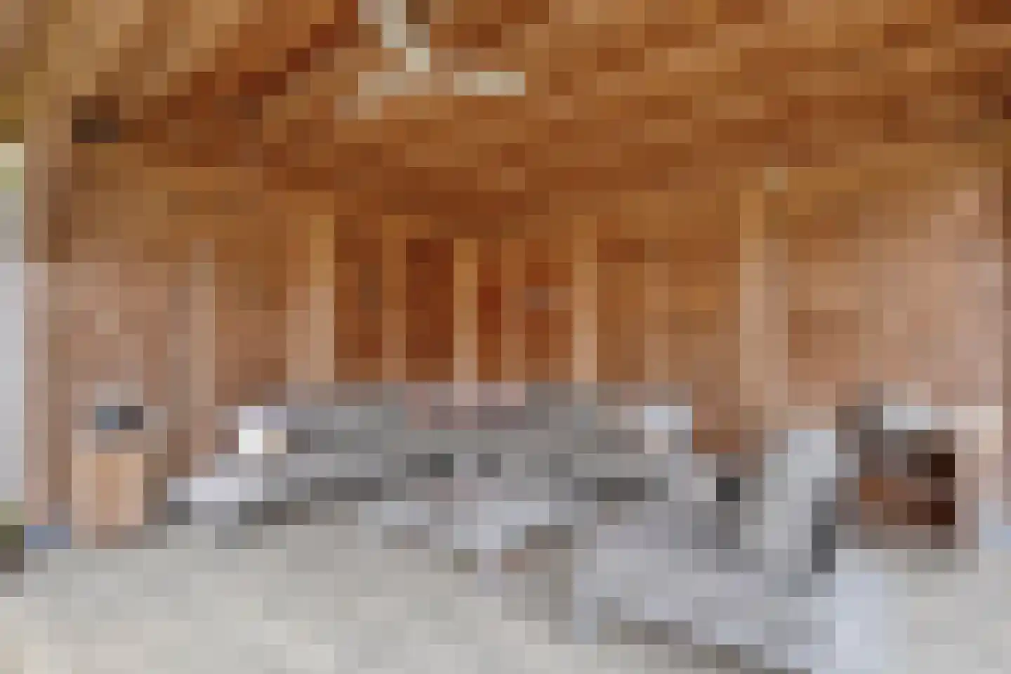 Haarboerhorst 10 Enschede thumbnail 52