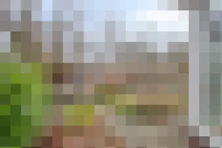 Haarboerhorst 10 Enschede thumbnail 53