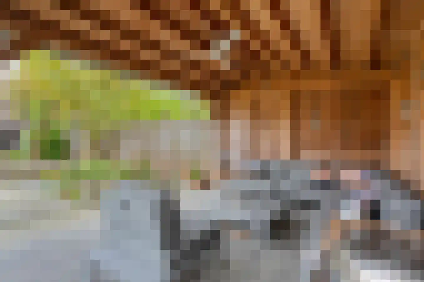 Haarboerhorst 10 Enschede thumbnail 53