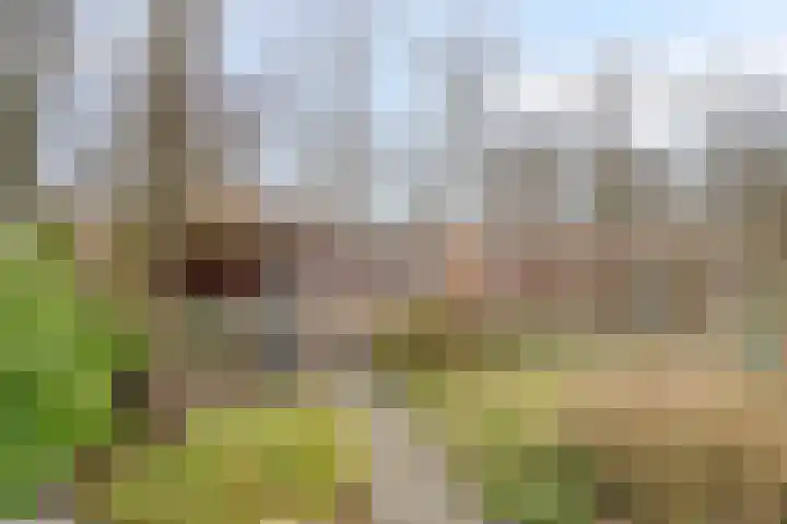Haarboerhorst 10 Enschede thumbnail 54