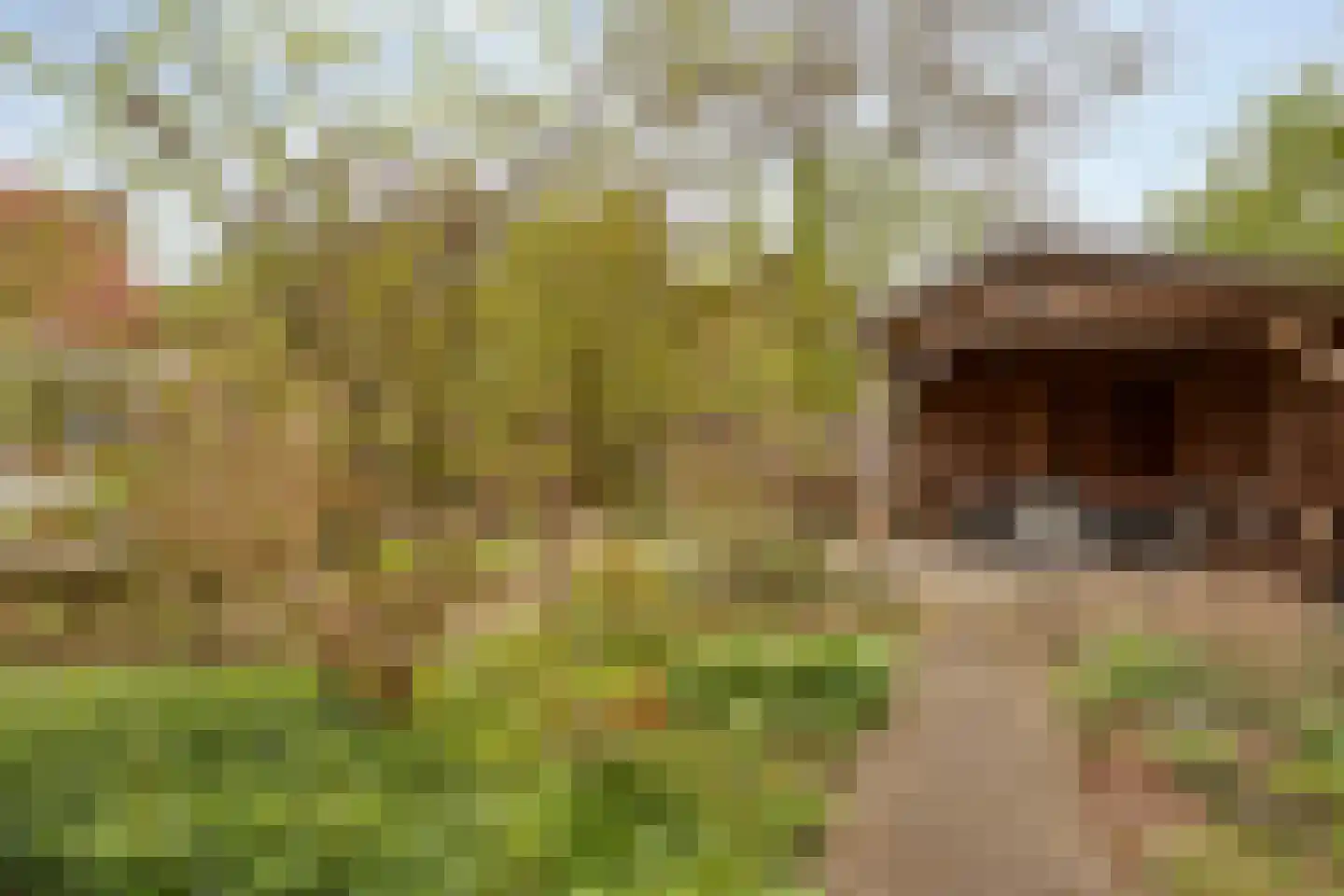 Haarboerhorst 10 Enschede thumbnail 55