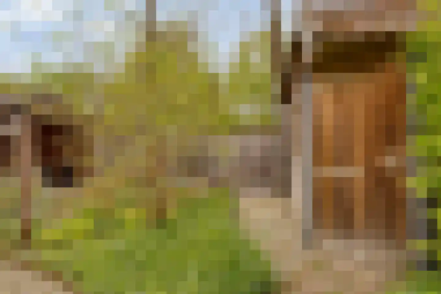 Haarboerhorst 10 Enschede thumbnail 56