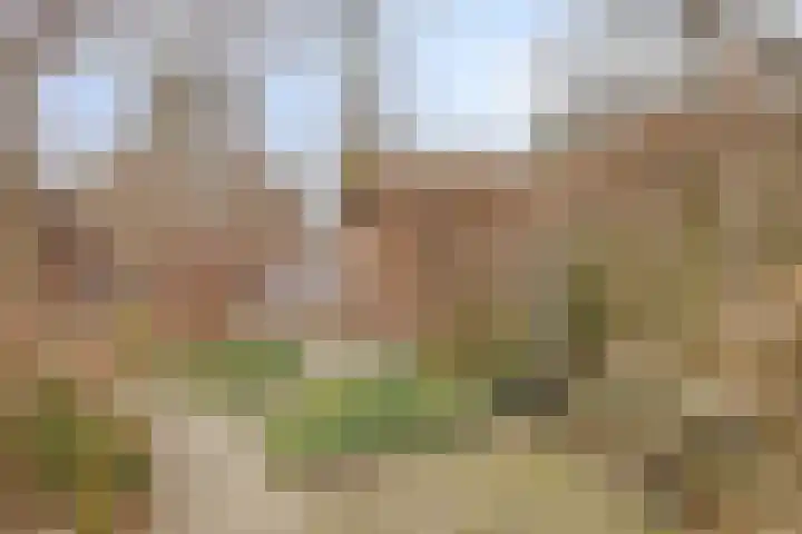 Haarboerhorst 10 Enschede thumbnail 58