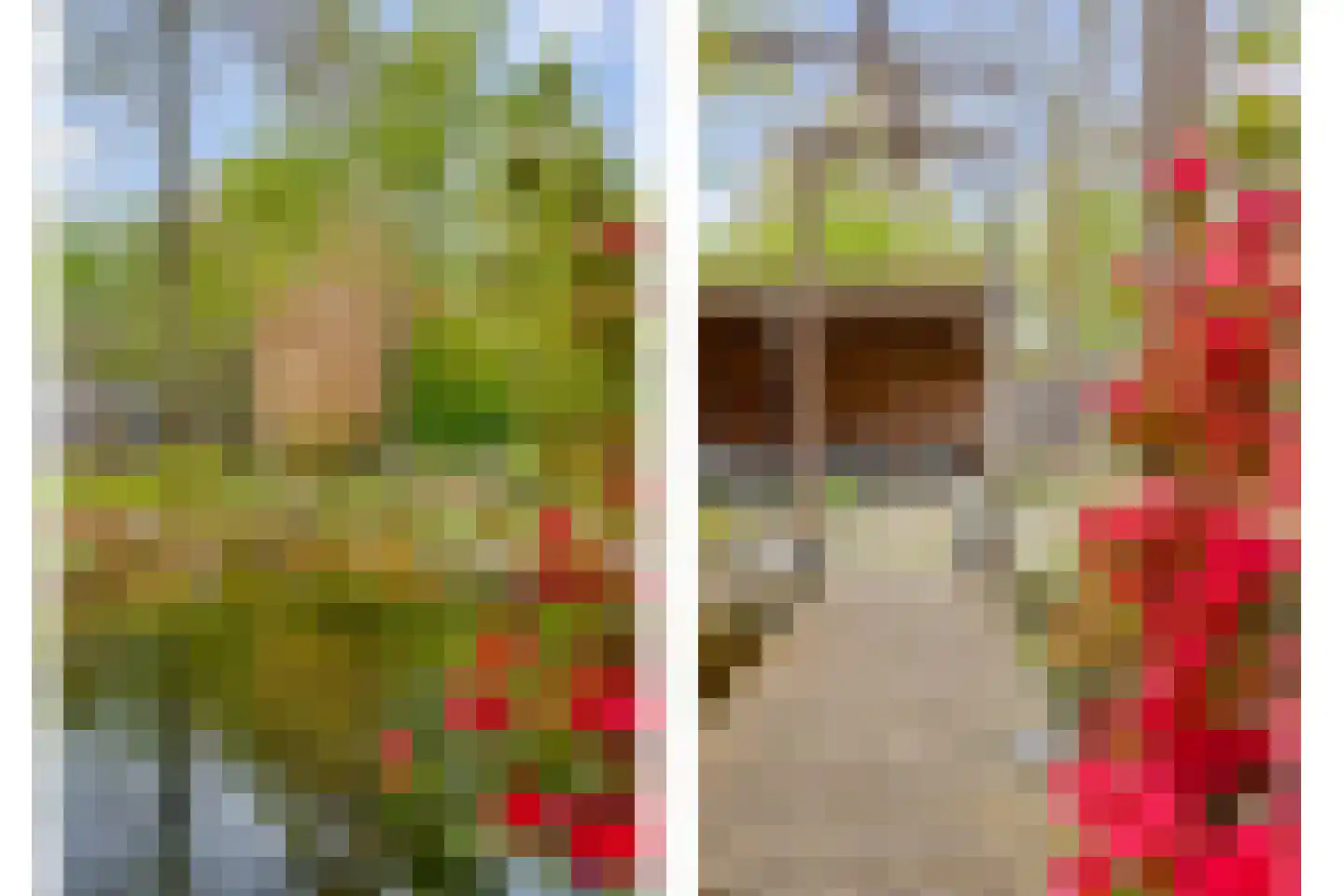 Haarboerhorst 10 Enschede thumbnail 58