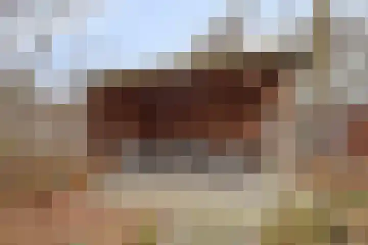 Haarboerhorst 10 Enschede thumbnail 61