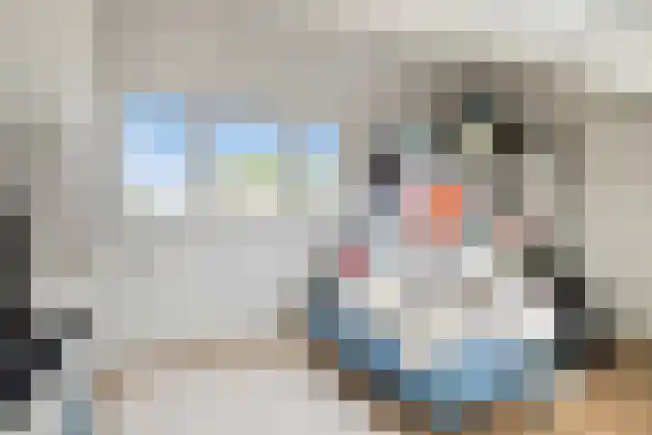 Haarboerhorst 10 Enschede thumbnail 69