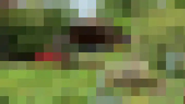 Haarboerhorst 10 Enschede thumbnail 71