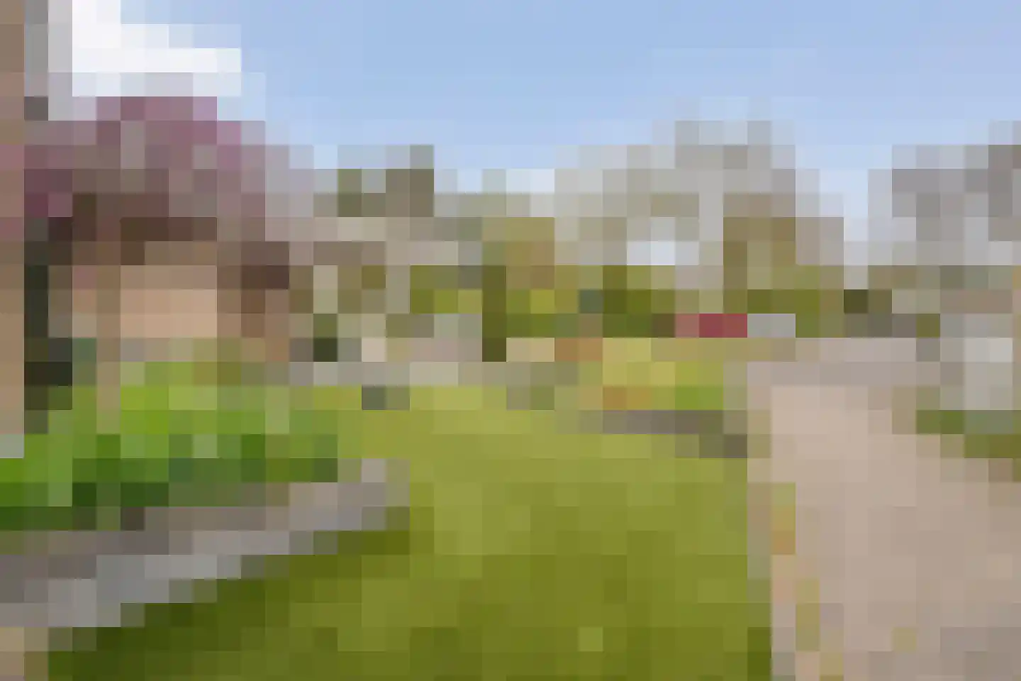 Haarboerhorst 10 Enschede thumbnail 8