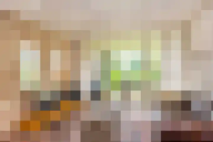 Haarboerhorst 13 Enschede thumbnail 10