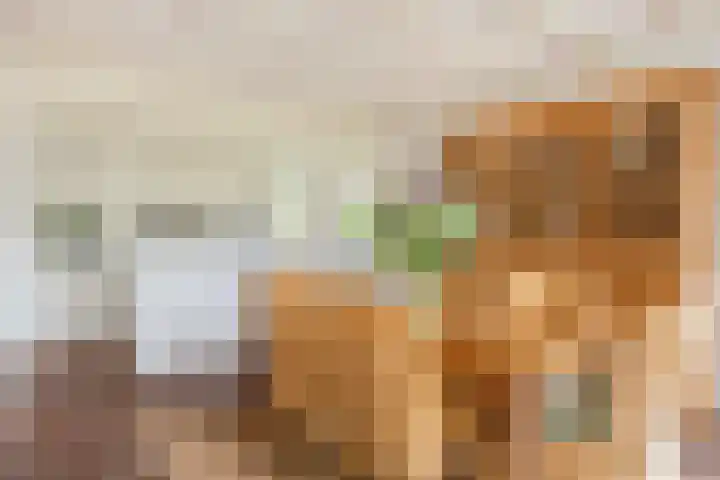Haarboerhorst 13 Enschede thumbnail 12